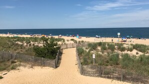 Una spiaggia sabbiosa con una recinzione di legno e un cartello che segnala una zona per cani.