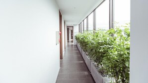 A long, narrow hallway with a row of potted plants on one side and a large window on the other.