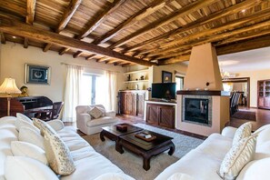 TV, fireplace, video games, DVD player