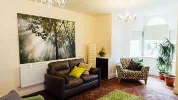 TV, fireplace, DVD player, books