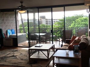 TV, DVD player, stereo - Ocean And Mountain Views (Kihei)