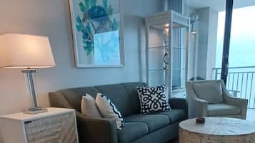 Smart TV, fireplace, DVD player, books