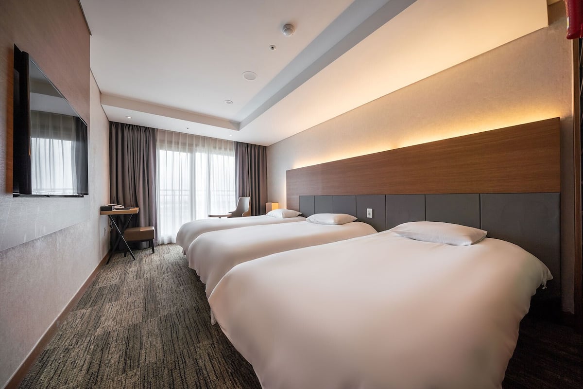 Deluxe Triple Room City View (3 Single Beds)