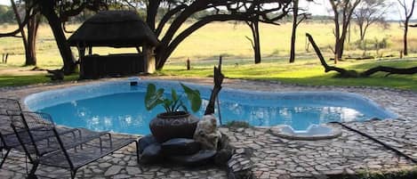 Outdoor pool, pool umbrellas, sun loungers