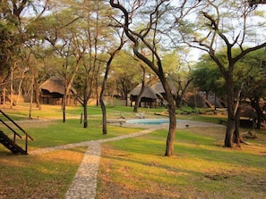 Property grounds - The Tree Lodge at Sikumi (Gwayi River Farms)