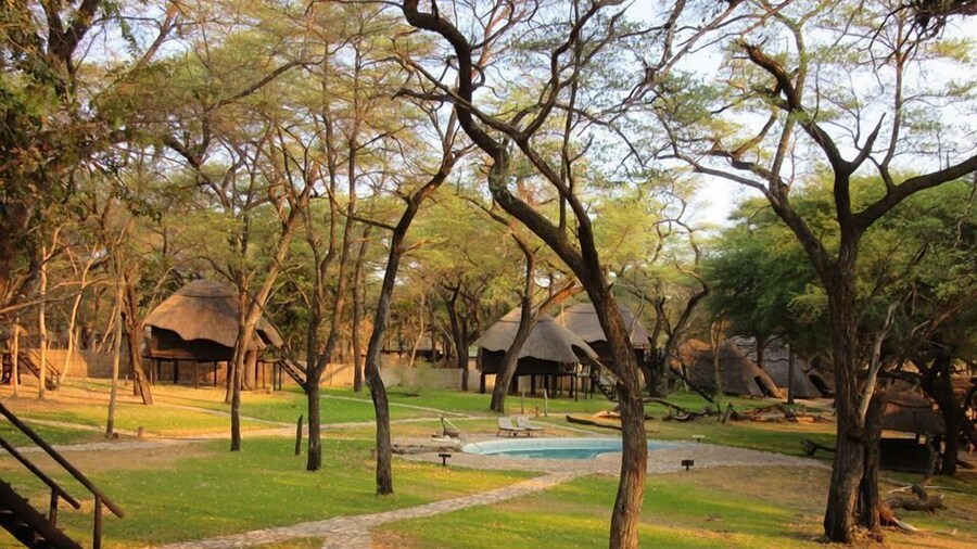 The Tree Lodge at Sikumi