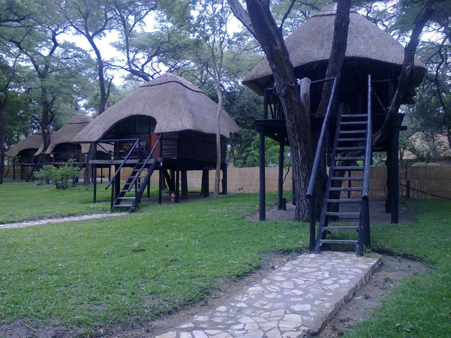 A thatched-roof structure with a stone pathway leading to it, surrounded by trees.