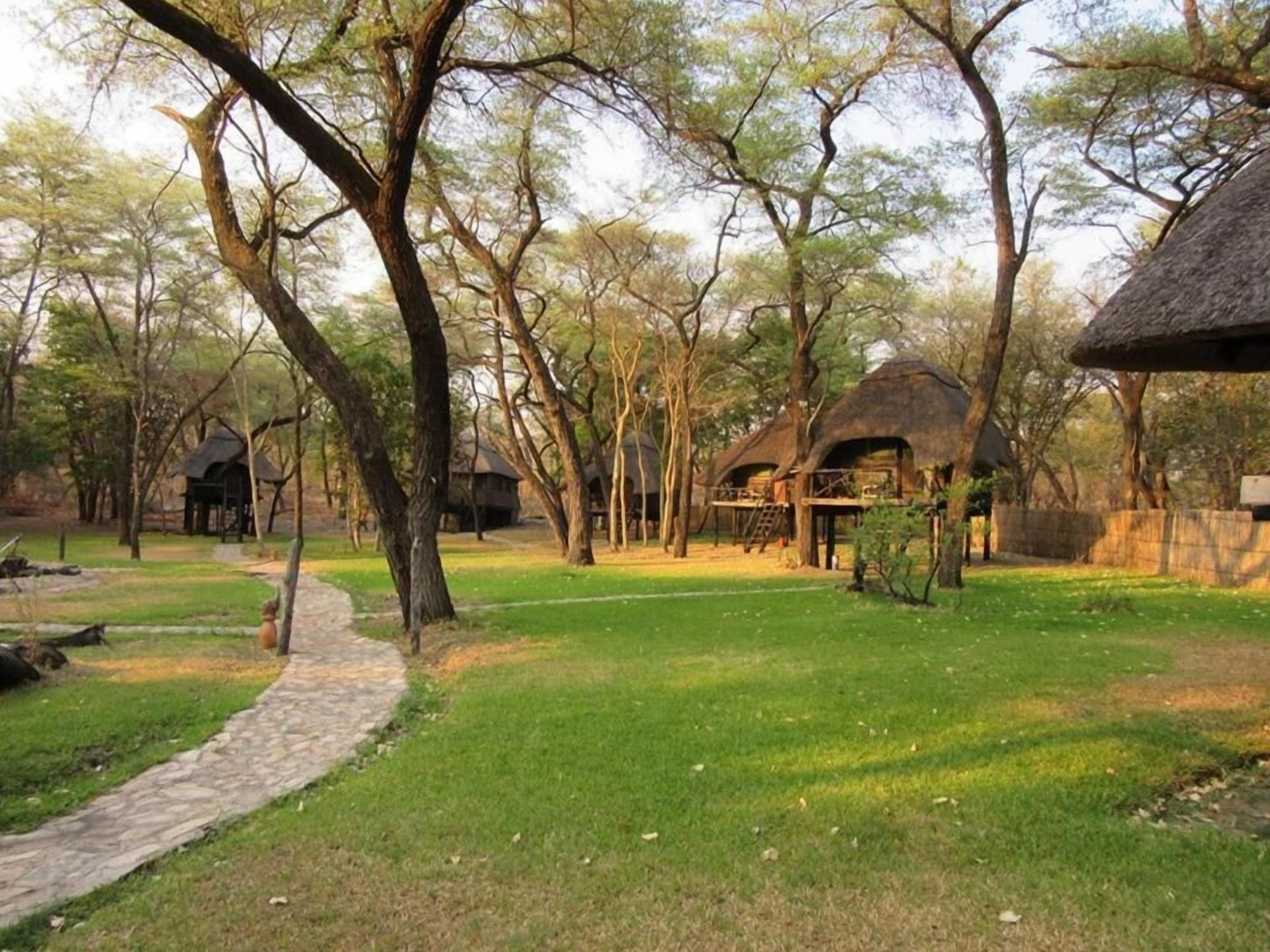A natural setting with thatched-roof huts, a stone pathway, and trees.