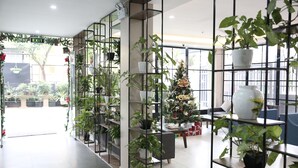 Et moderne indendørs rum med et juletræ, potteplanter og et siddeområde.