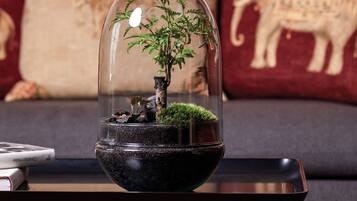 Un pequeño jardín interior con un bonsái bajo una cúpula de vidrio, colocado sobre una mesa oscura frente a un sofá con un cojín decorativo.