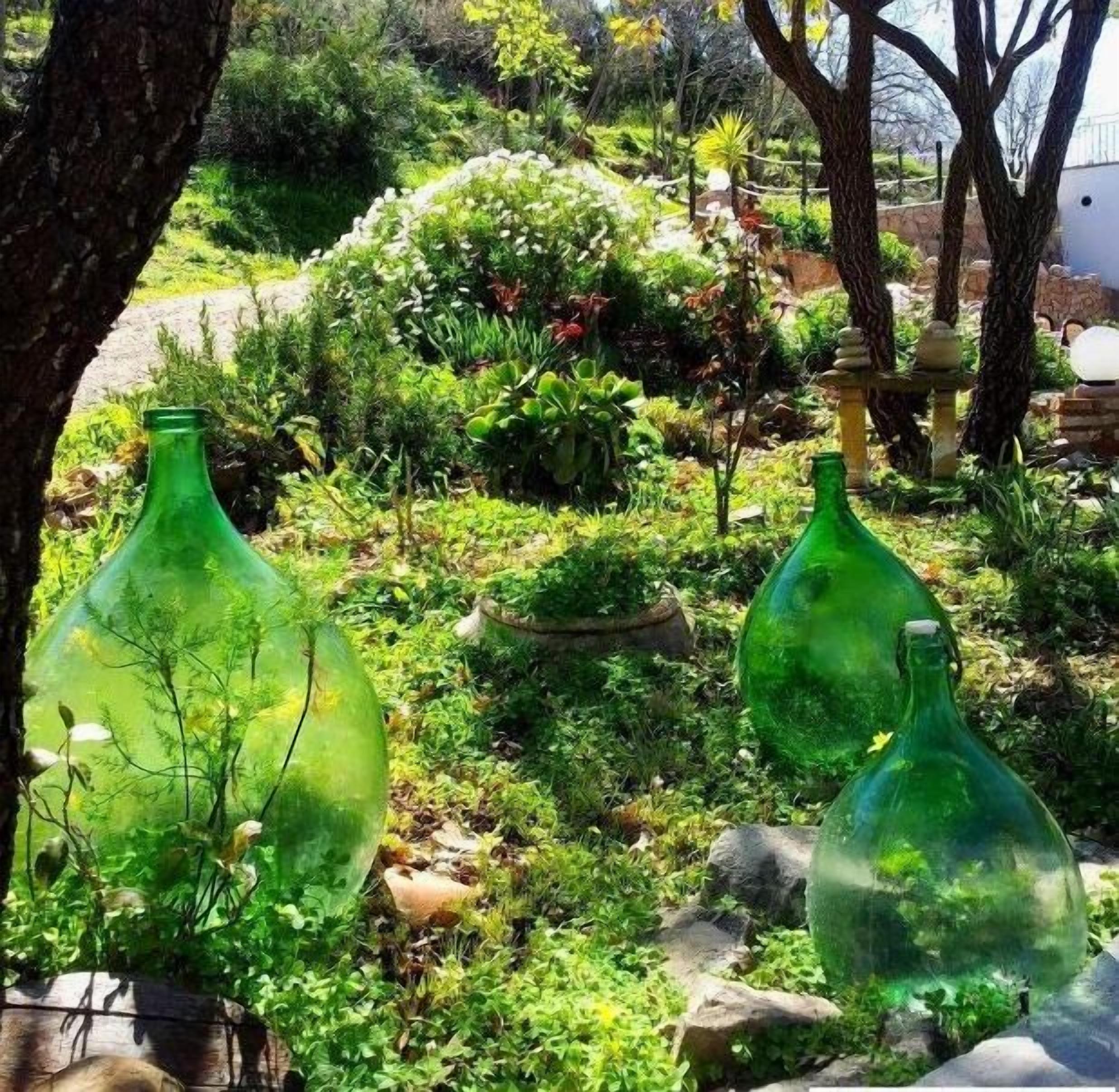 Un jardín con botellas de vidrio verde que contienen plantas.