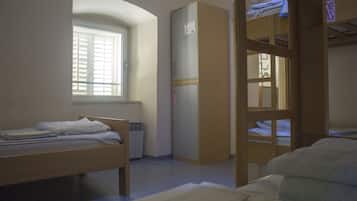 1 bed in shared 8 bed dormitory, Private bathroom | Een bureau, gratis wifi