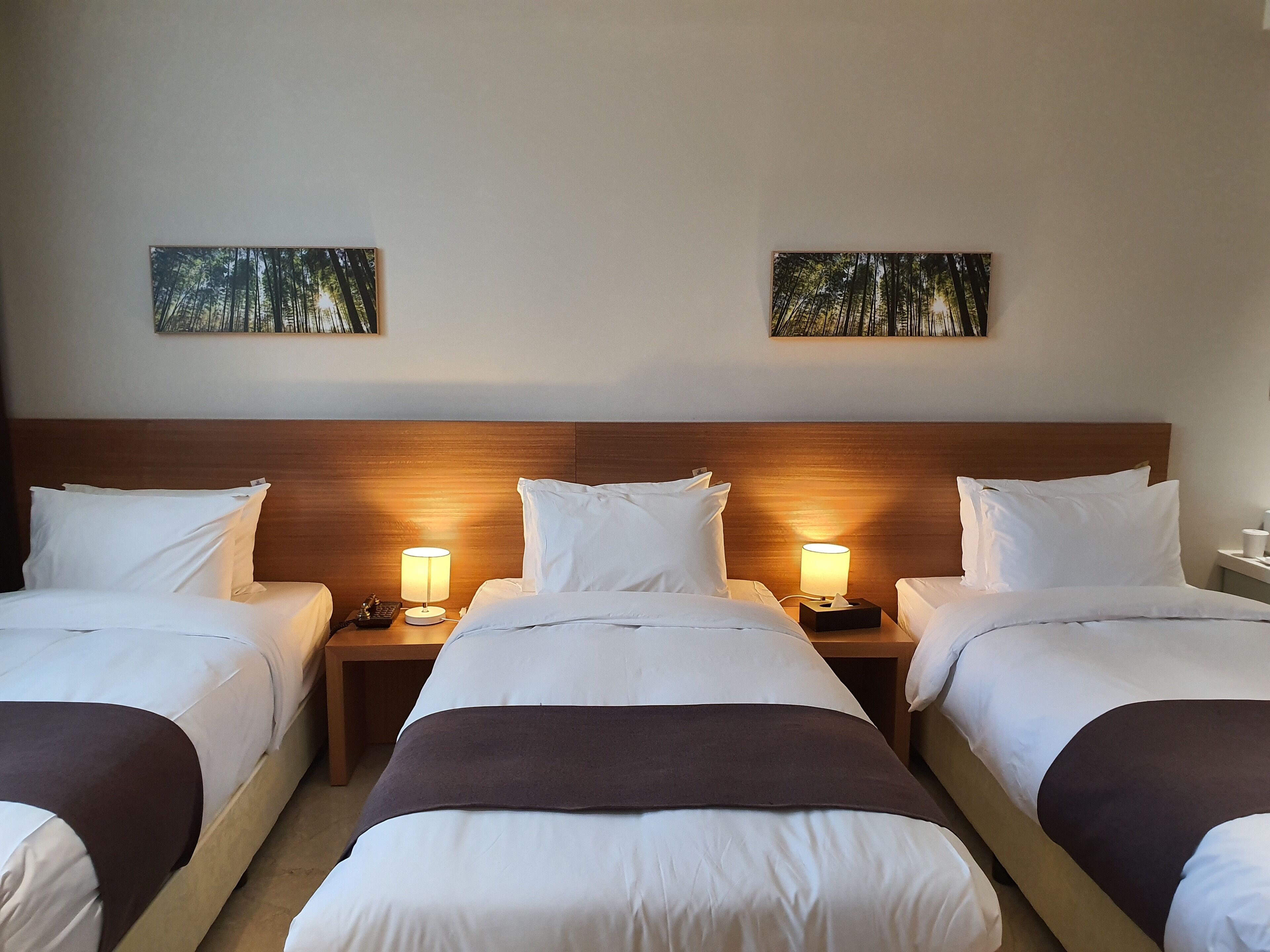 Une chambre d’hôtel avec deux lits, chacun agrémenté de draps blancs et d’une touche de couleur marron. On y trouve des tables de chevet avec des lampes et une tête de lit en bois.