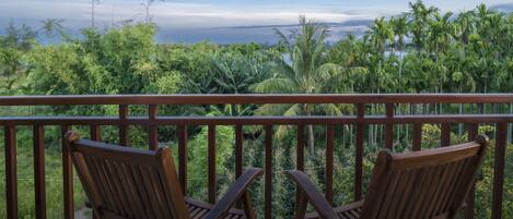 2 quartos, roupas de cama de algodão egípcio, roupas de cama premium