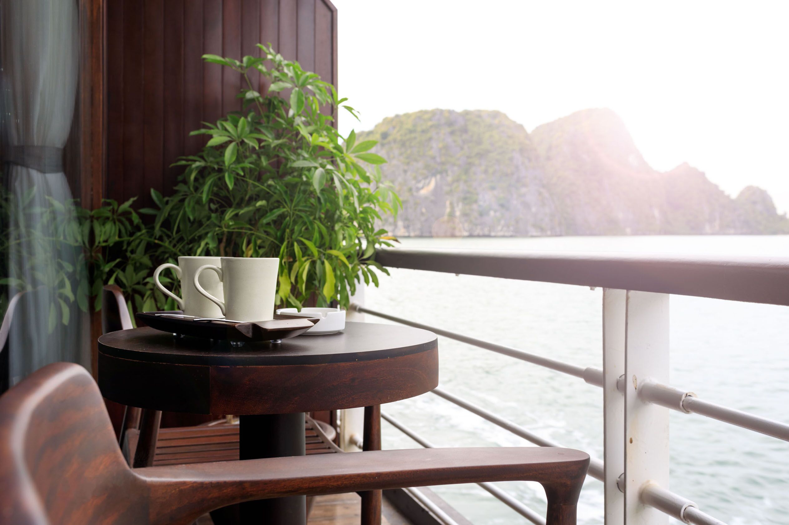 A table with a cup and saucer, a tray, and a potted plant on a balcony overlooking the sea.