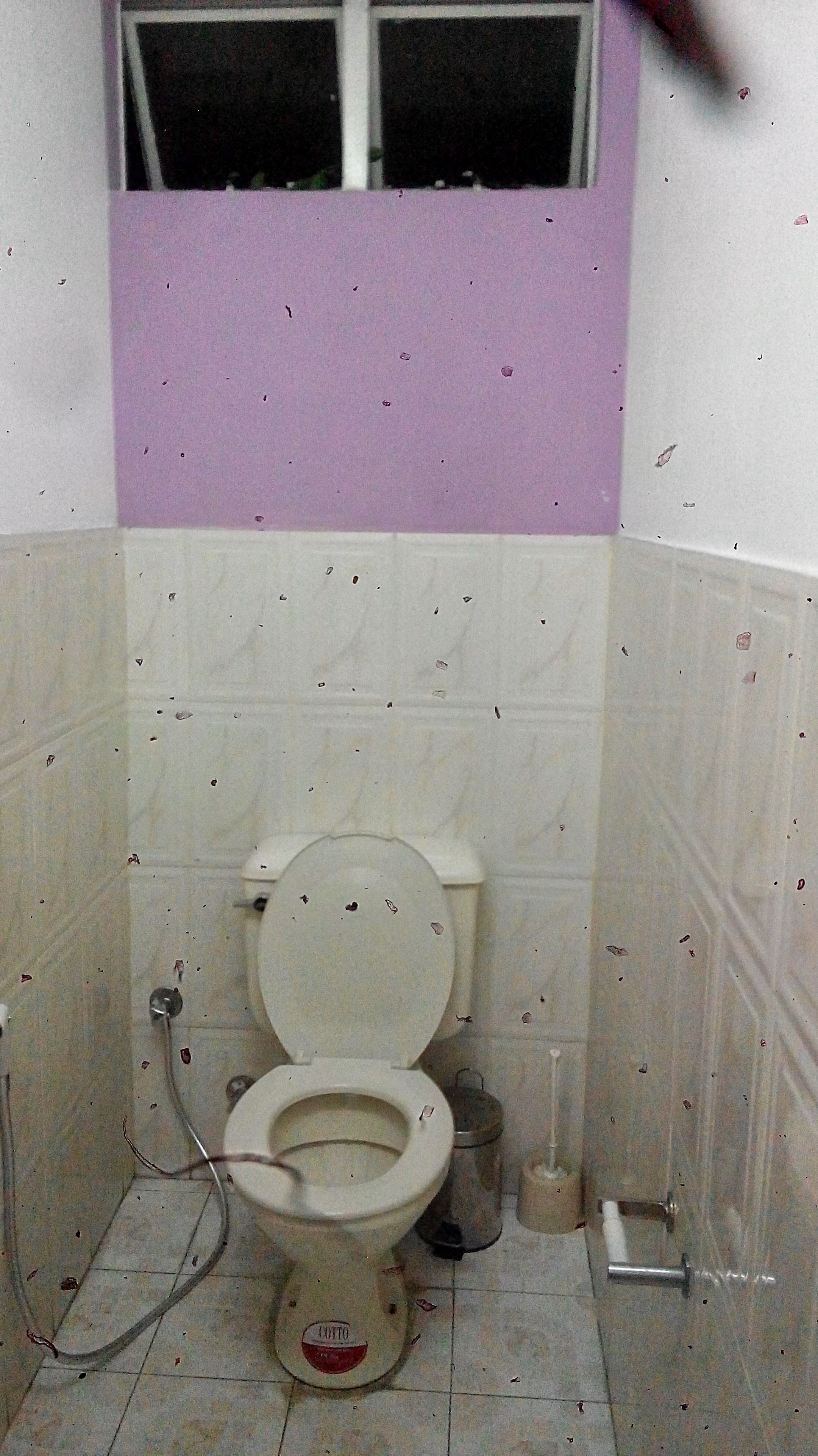 Un baño pequeño, con poca luz, que contiene un inodoro, un bote de basura y una ventana.