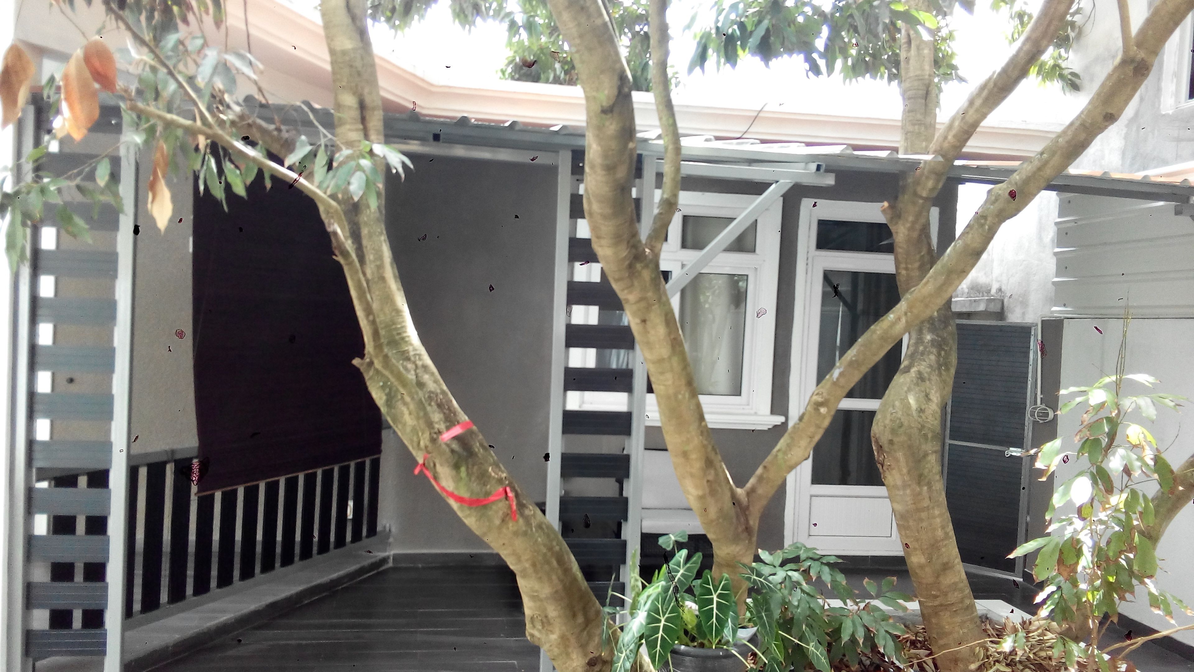 Fachada de la propiedad