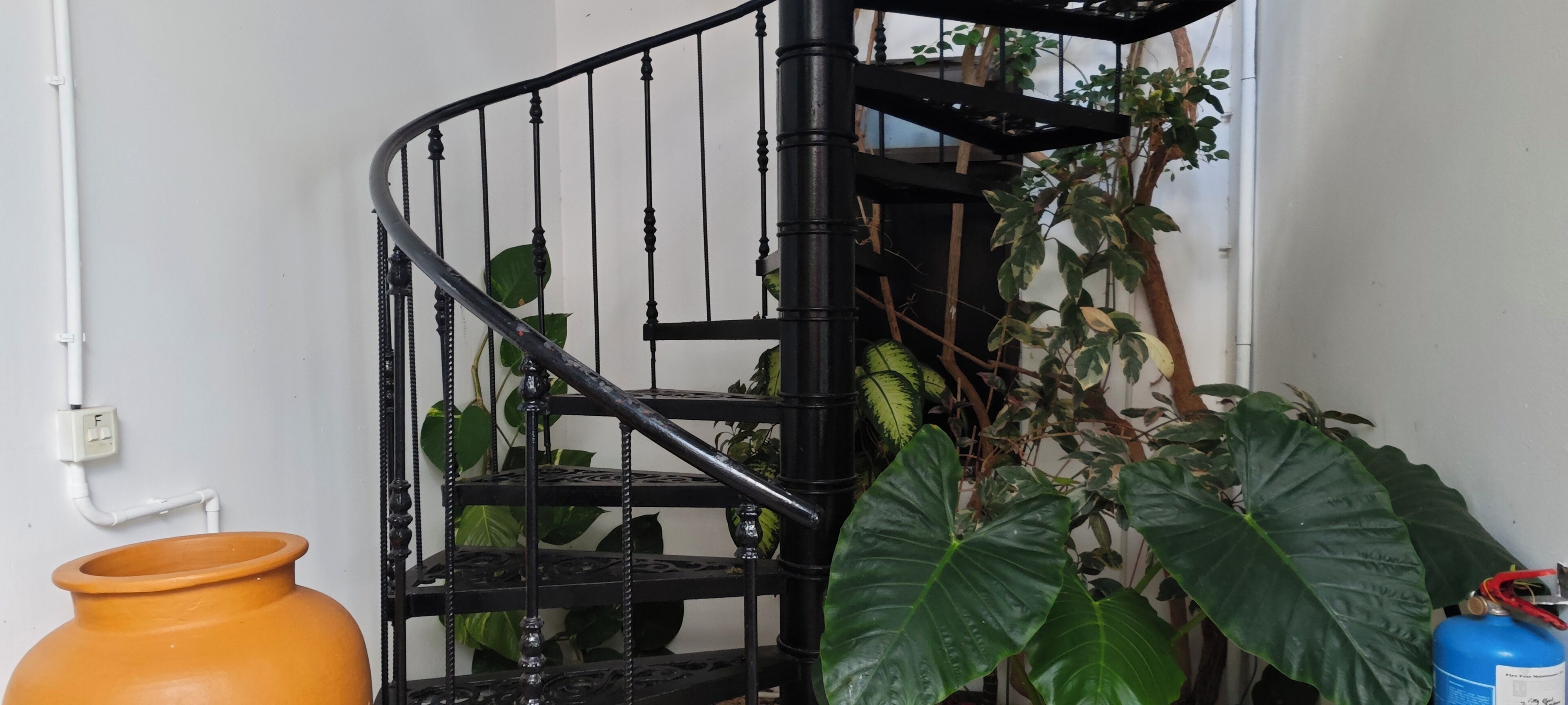 Photo - Villa Alizee