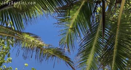 The Little Mermaid Guesthouse & Restaurant