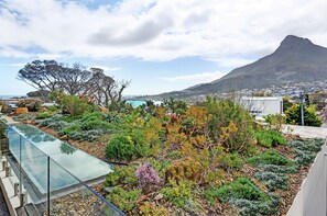 Terrace/patio - Blinkwater Villa (Cape Town)