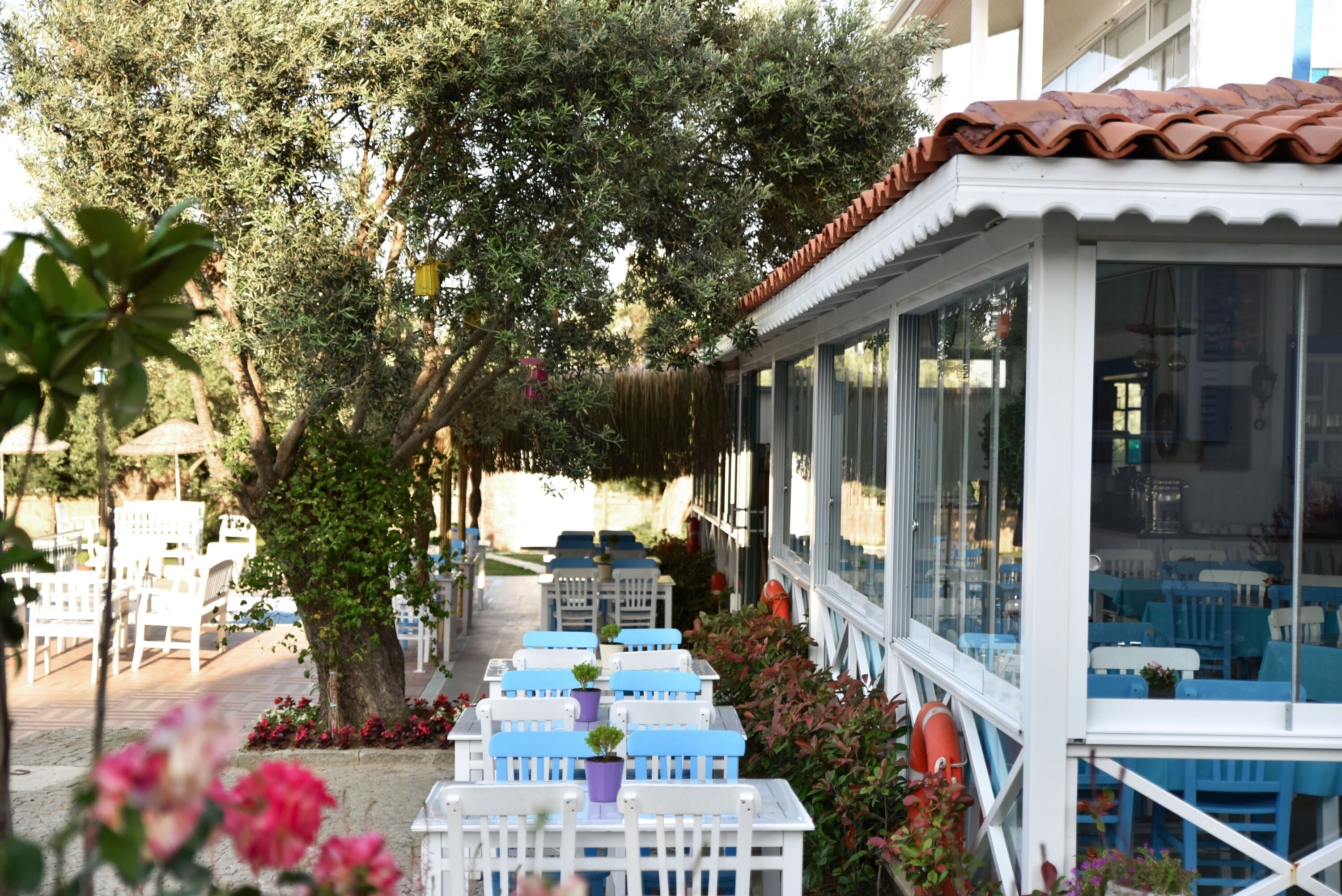 A covered outdoor seating area with white and blue chairs, surrounded by greenery and trees.