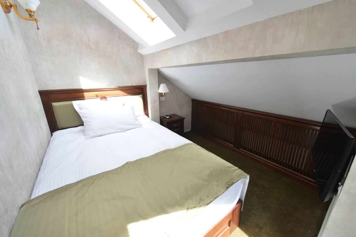 A bedroom with a bed, a nightstand, a lamp, a TV, and a sloped ceiling with a skylight.