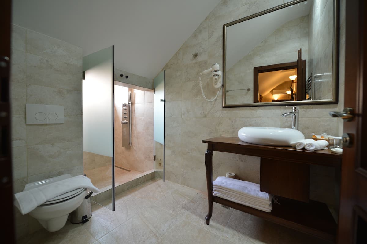 standard double room | bathroom | shower, free toiletries, hair dryer, bathrobes