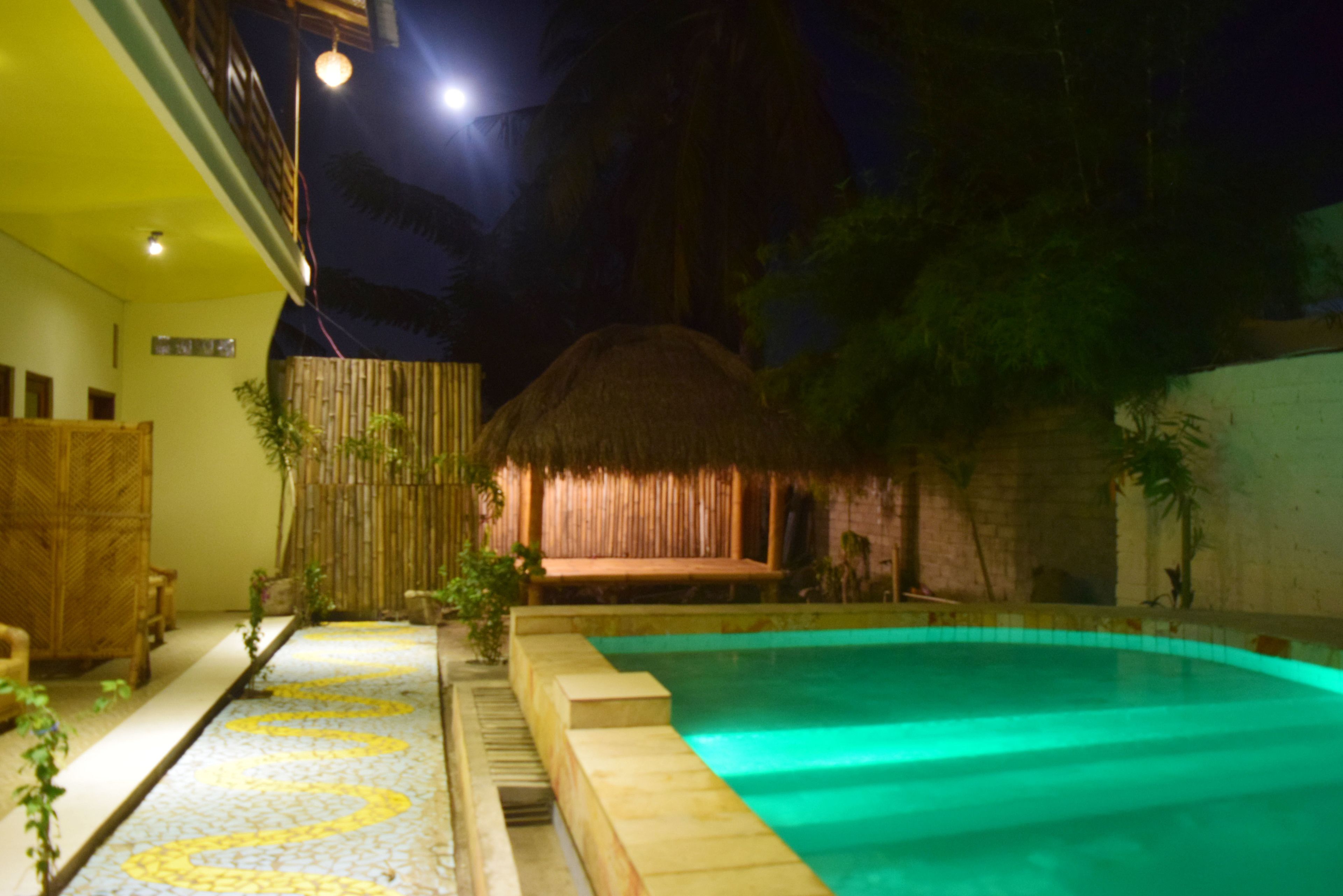 A swimming pool with a thatched-roof structure in the background, surrounded by plants and a bamboo fence.