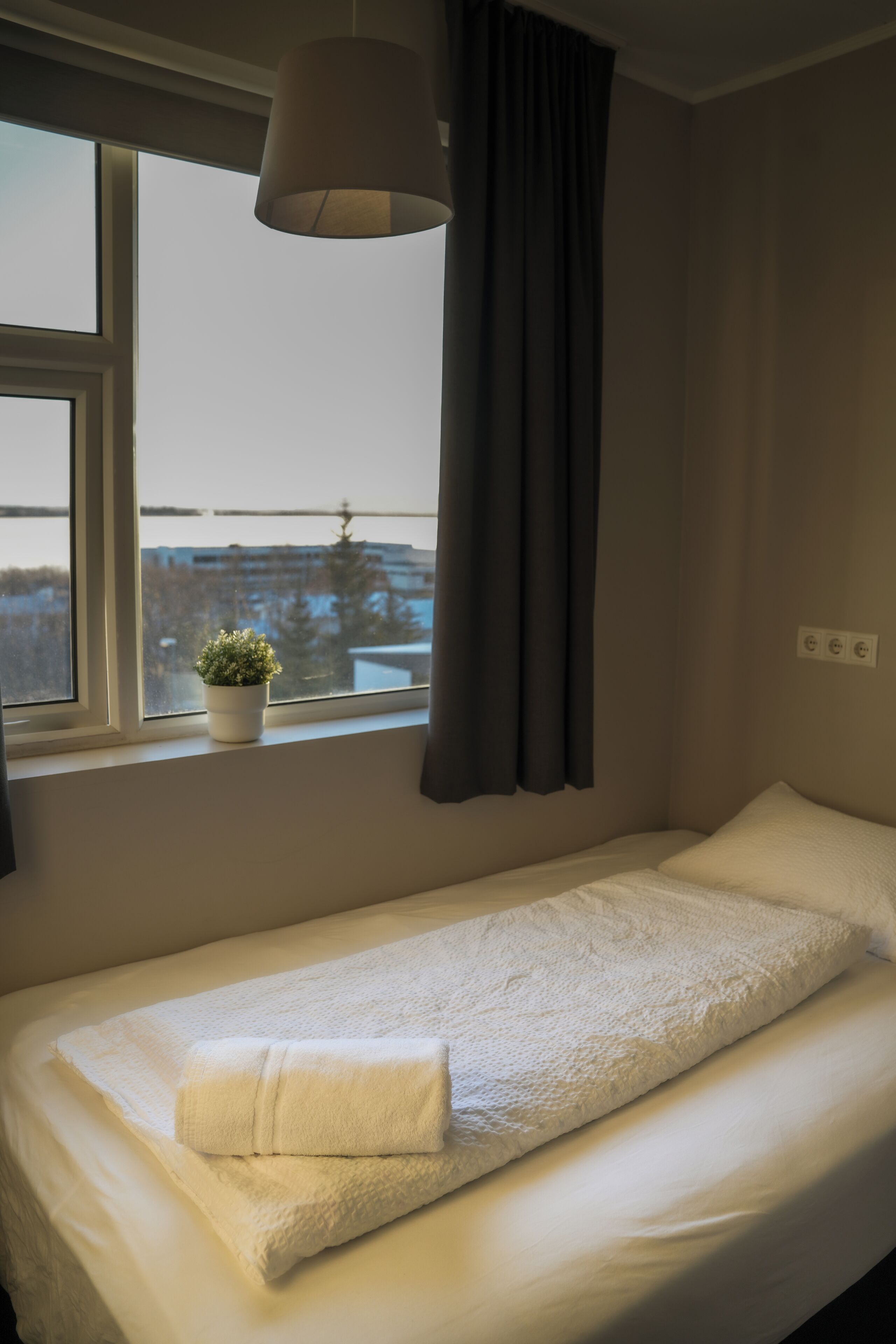 Un letto singolo con materasso e cuscini bianchi, una piccola pianta in vaso sul davanzale e una finestra vista edifici e alberi.