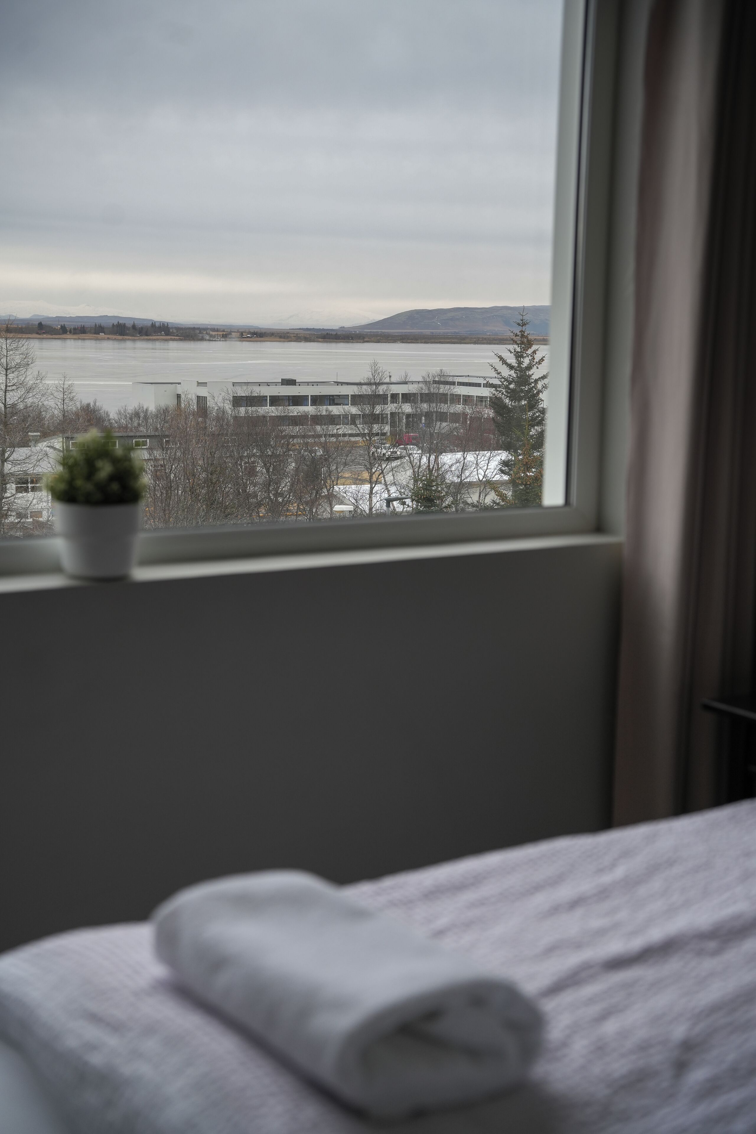 A room with a bed, a window with a view of a body of water and buildings, and a small potted plant on the windowsill.