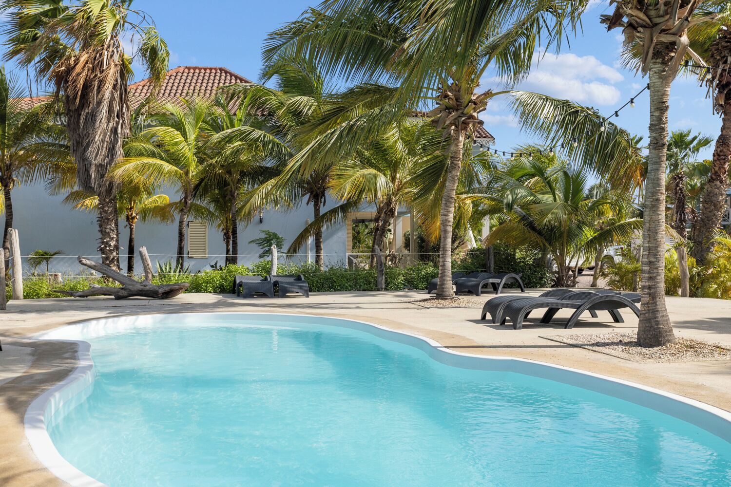 Outdoor pool, free cabanas, sun loungers