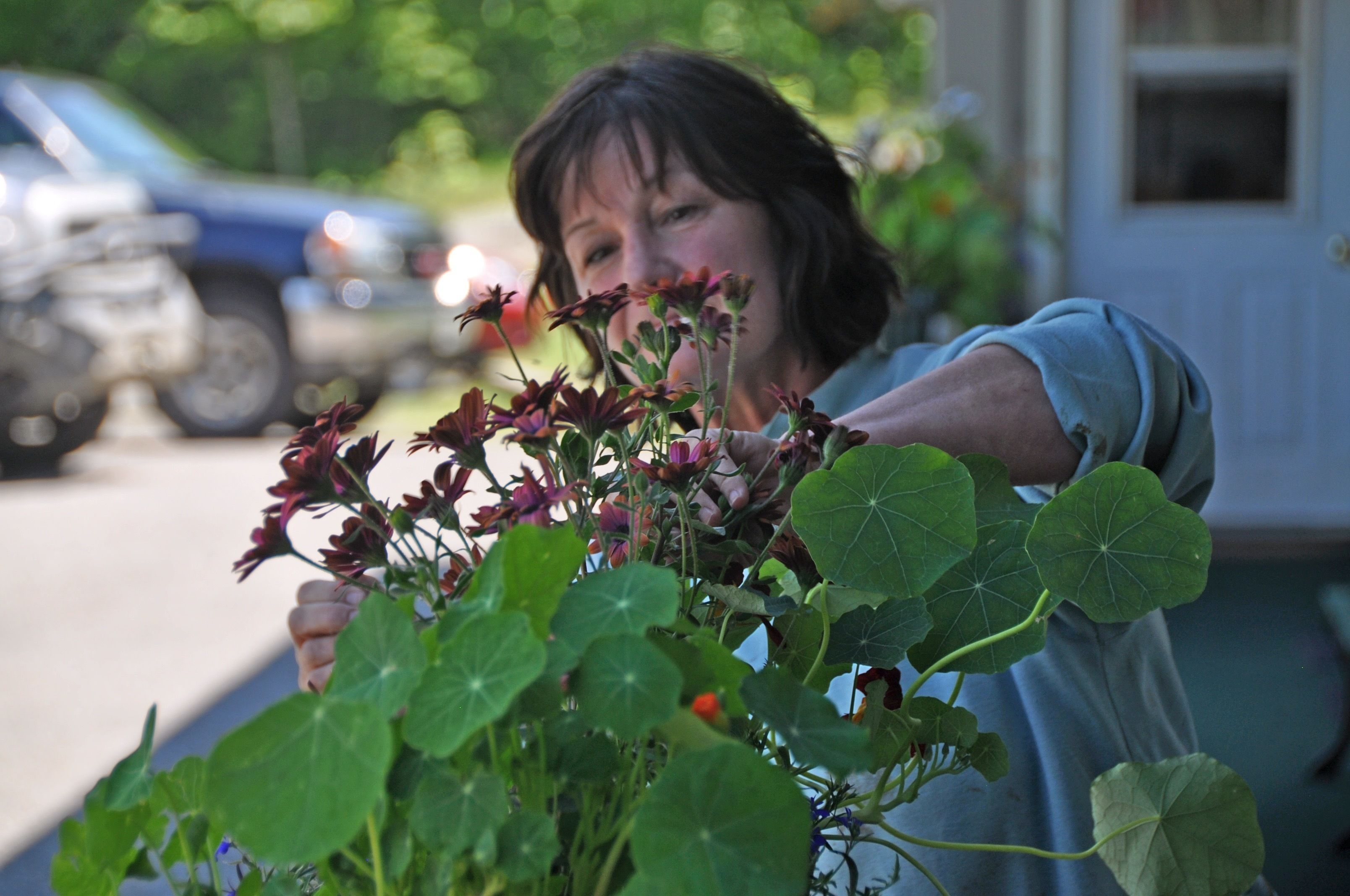 Une personne tenant une plante avec des feuilles vertes et des fleurs rouges.