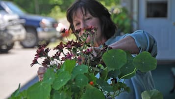 Eine Person hält eine Pflanze mit grünen Blättern und roten Blüten.