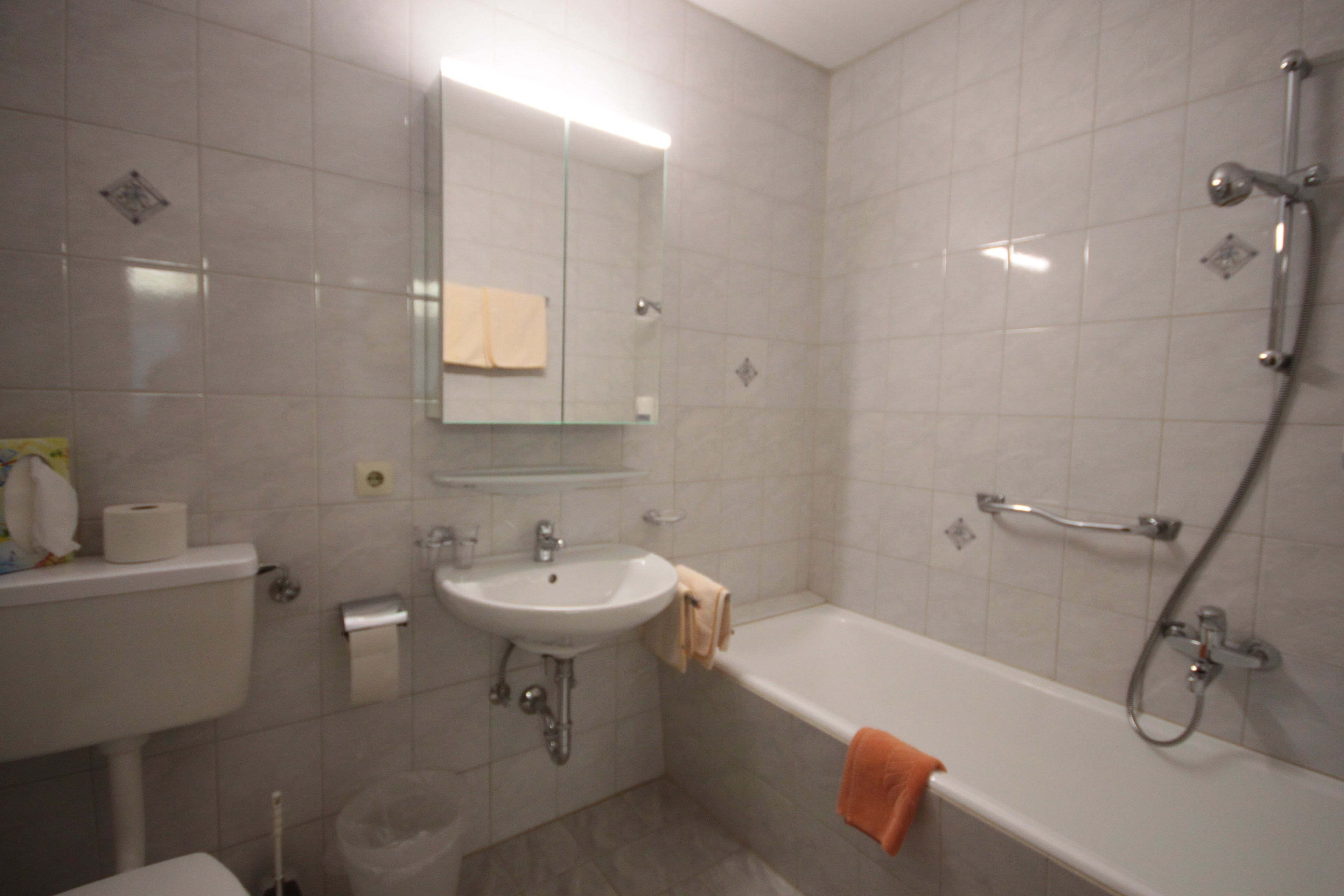 triple room | bathroom | shower, free toiletries, hair dryer, towels