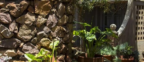 Jardin
