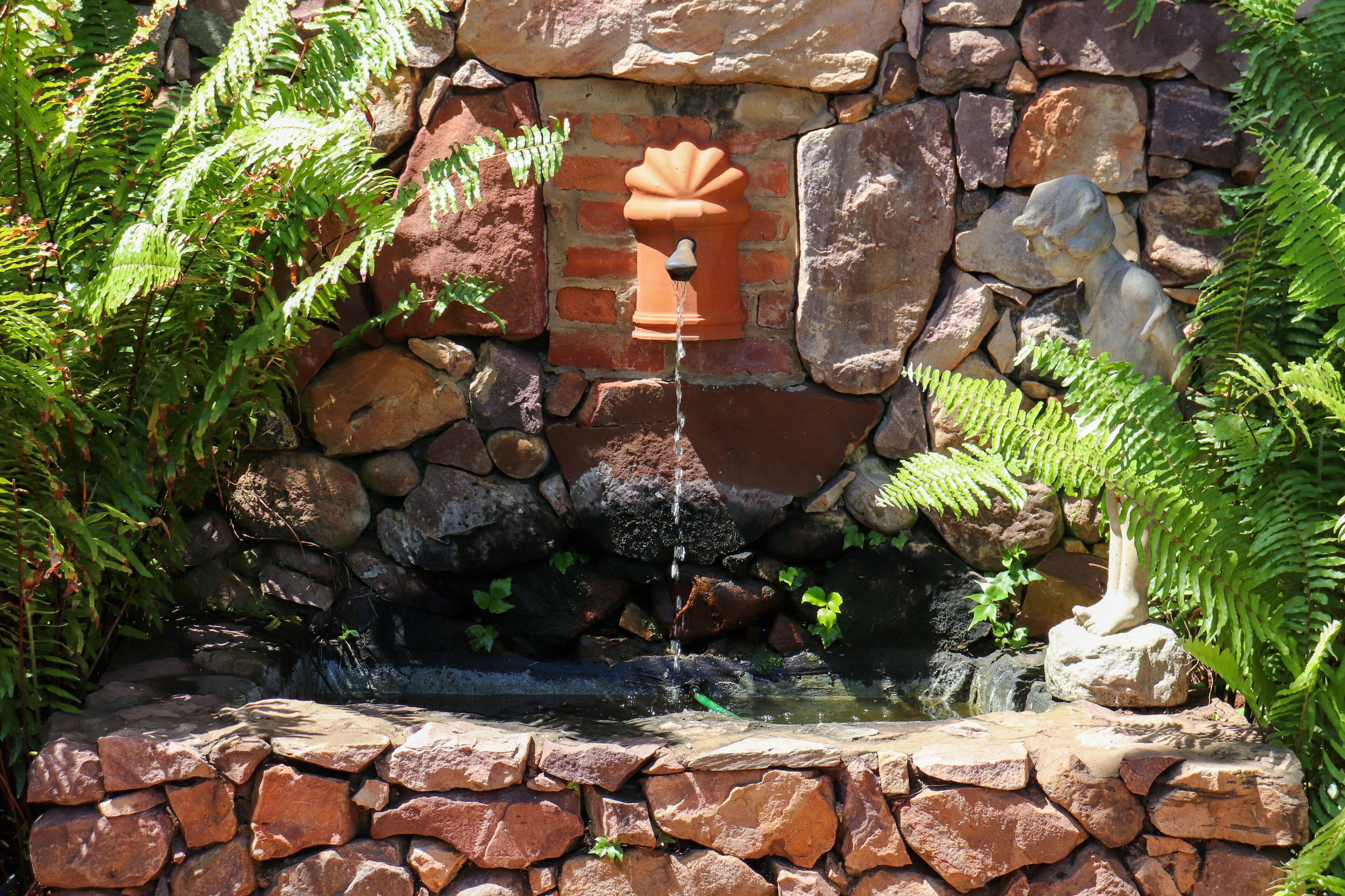 Foto - Maison H Guest House