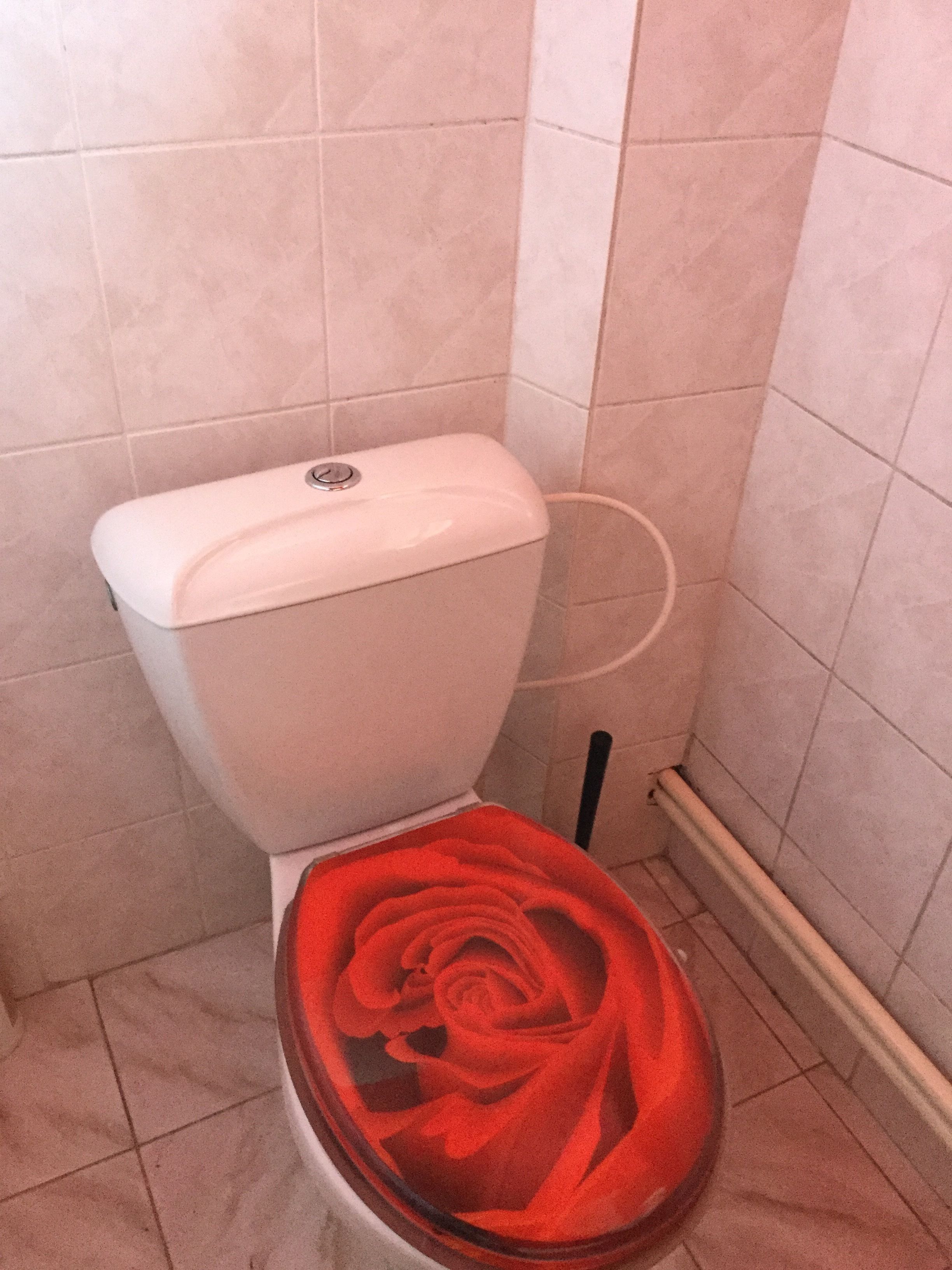 A toilet with a red seat cover.