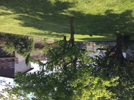 Jardim