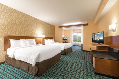 Fairfield Inn Suites by Marriott Asheville Tunnel Road - Image 30