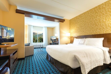 Fairfield Inn Suites by Marriott Asheville Tunnel Road - Image 4