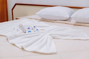 Basic Double Room | Minibar, desk, free WiFi, bed sheets