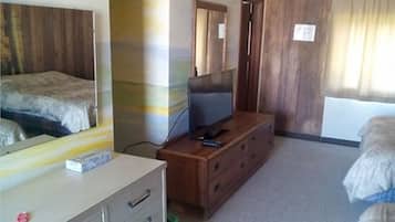 A room with a bed, a dresser, a television, and a mirror.