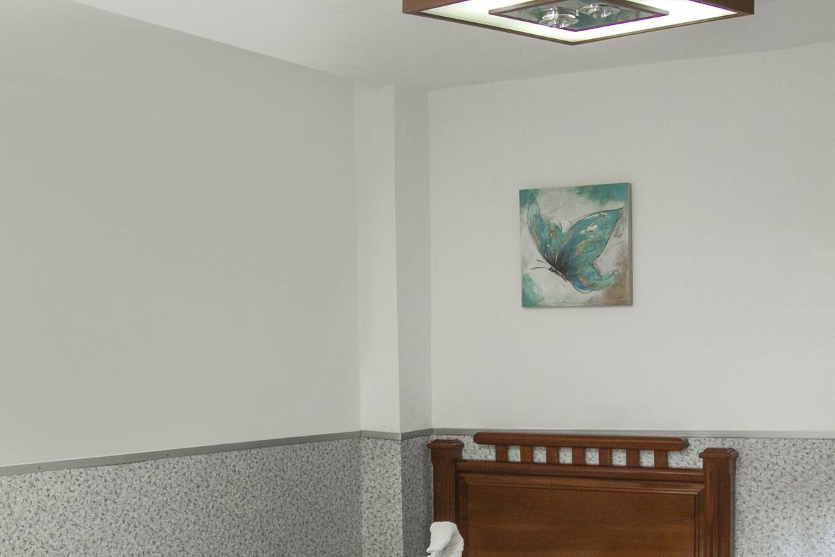 Edredones de plumas, wifi gratis, mobiliario individual y ropa de cama