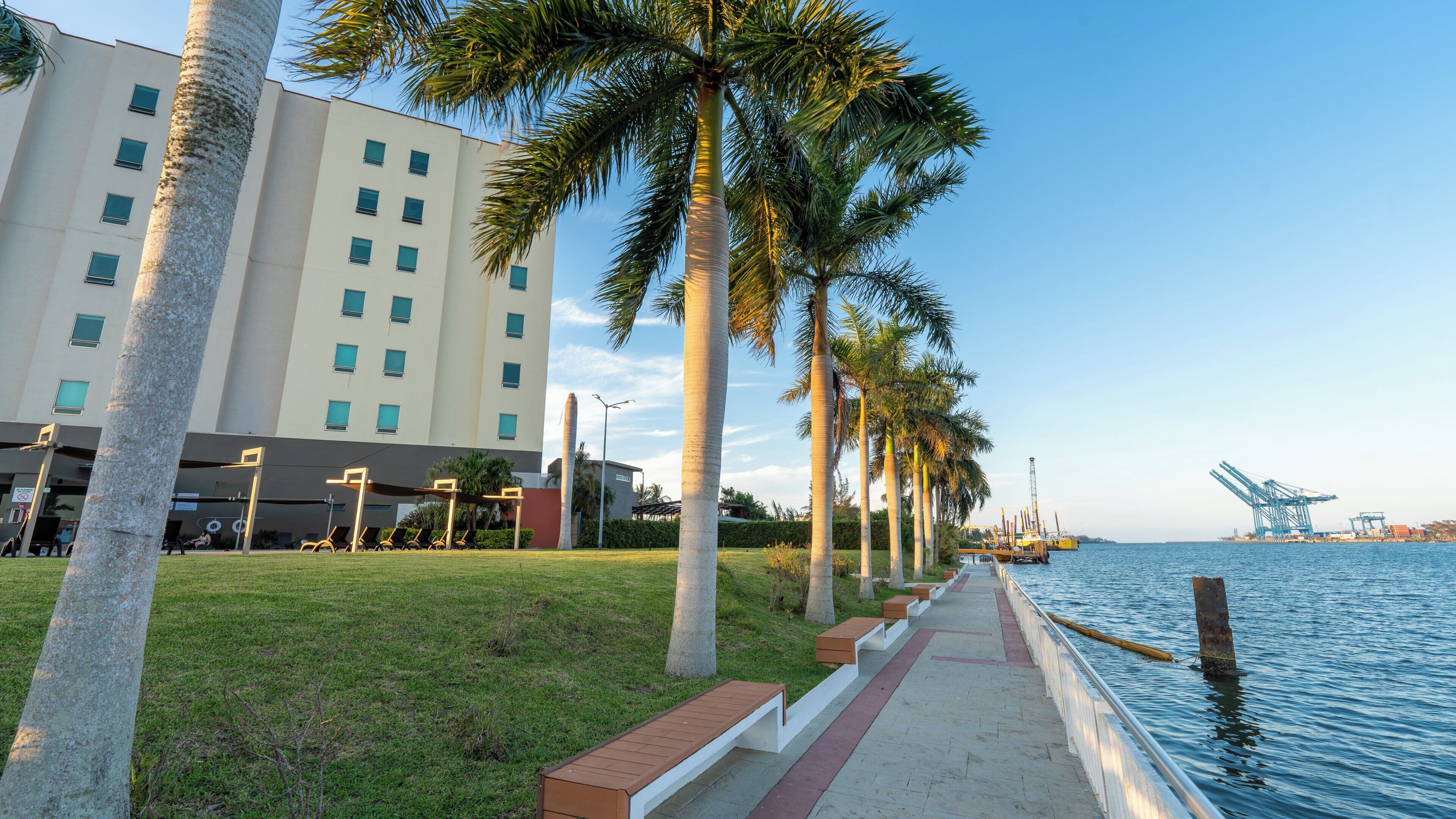 Un paseo marítimo con palmeras, un edificio con múltiples ventanas y un muelle con una grúa.