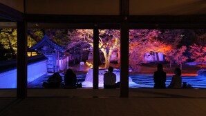 A traditional Japanese building with a view of a garden illuminated by colorful lights. - WeBase Hakata Hostel (Fukuoka)