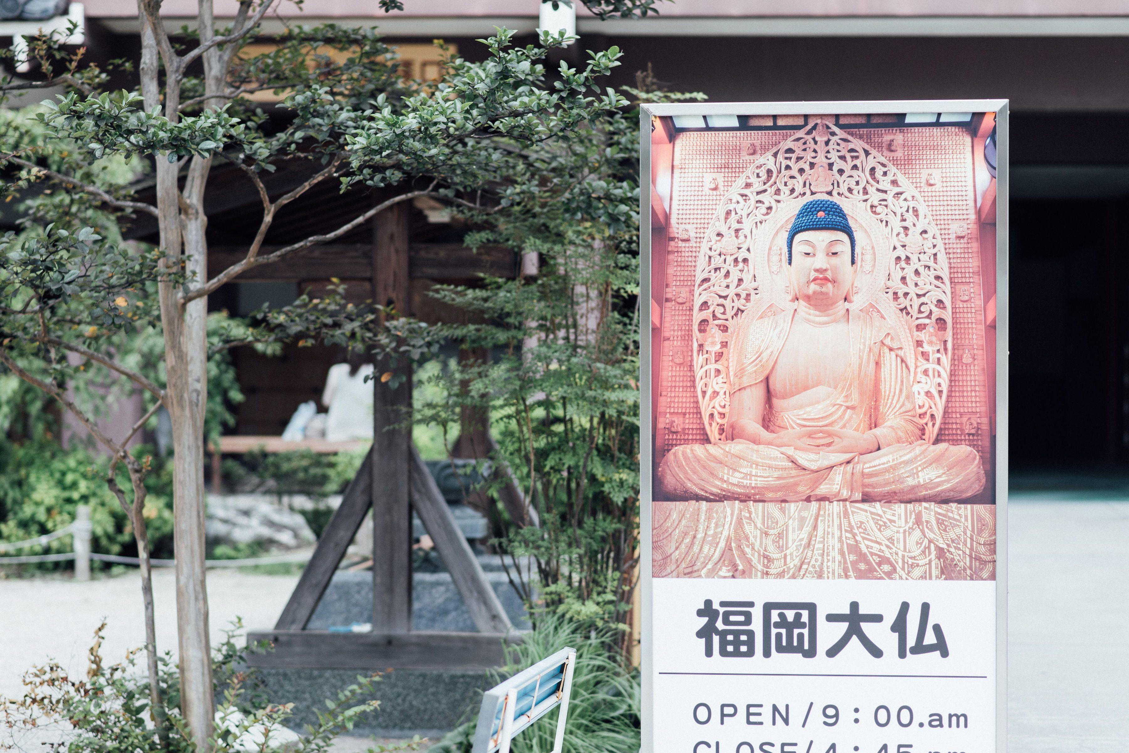 Foto - WeBase Hakata Hostel