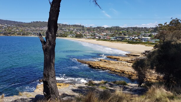 Eine Küstenlandschaft mit Strand, felsiger Uferlinie und einem Baum im Vordergrund.