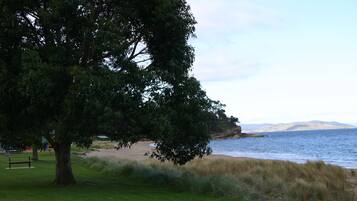 A coastal park with a large tree, grassy areas, and a sandy beach.
