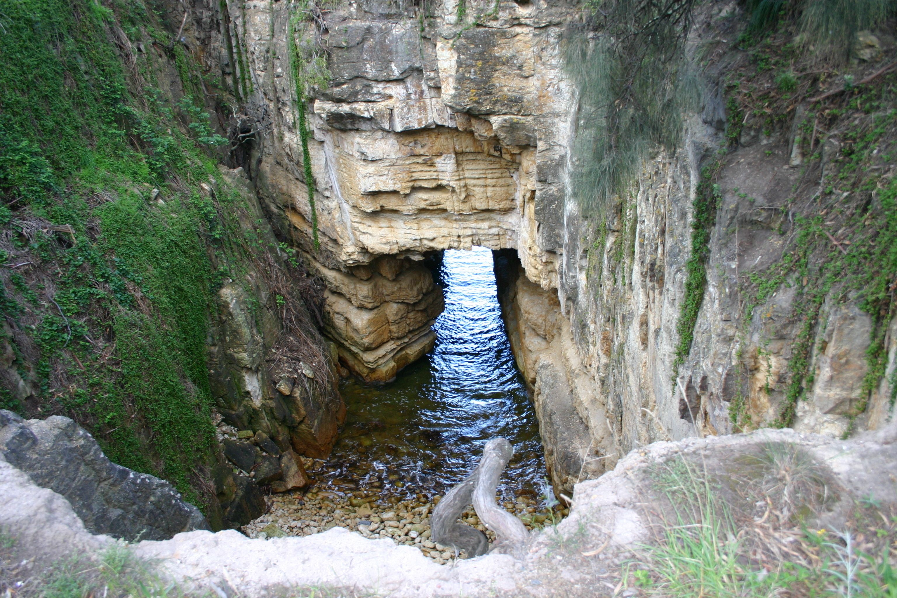 Cedar Cottages Blackmans Bay — image 28