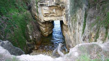 A narrow canyon with a stream flowing through it.
